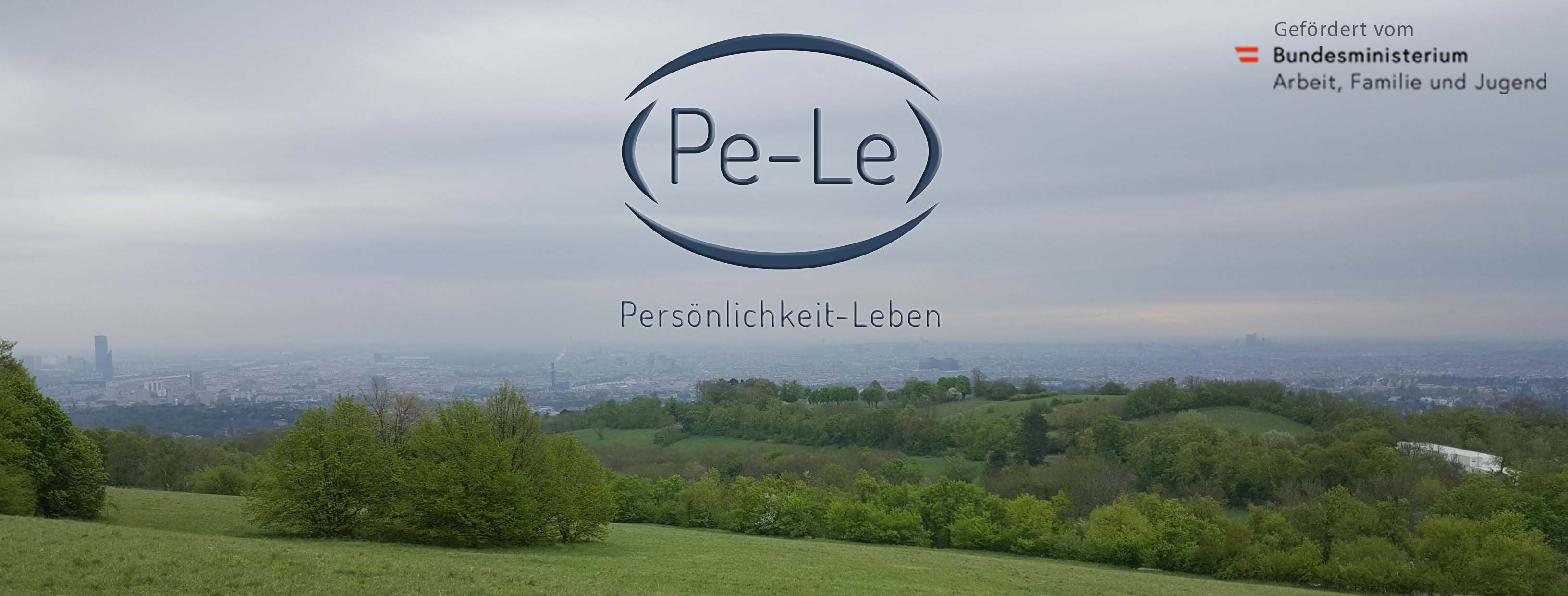 Der Banner, er zeigt den blick über wien vom Cobenzl aus. Das Logo von Pele schwebt im Himmel über der Stadt, rechts davon wird darauf hingewiesen, dass die Beratungsstelle vom Bundesministerium für Arbeit, Familie und Jugend gefördert wird.